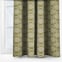 Apollo Olive