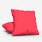 Accent Coral