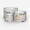 Animal Alphabet Paintbox