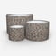 Neema Raven