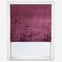 Florence Plum