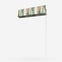 Rafiki Cactus