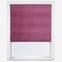 Milan Fuchsia