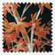 Aspen Rust