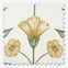 Ottilie Marigold