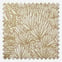 Valloni Ochre