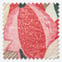 Edinburgh Weavers Lucy Fuchsia