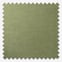 Belvoir Recycled Pampas