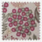 Wilmington Raspberry