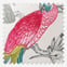 iLiv Aviary Begonia