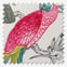 Aviary Begonia