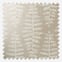 Fernia Mushroom