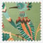 Hoopoe Fern
