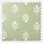 Little Bud Fennel