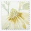Wild Garden Cotton Chintz