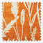 Wild Grasses Clementine