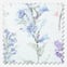Laura Ashley Wild Meadow Chalk Pink CTL