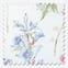 Laura Ashley Wild Meadow Coral Pink