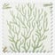 Fistral Seaweed