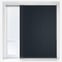 Carnival Anthracite