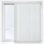 Zephyr White