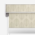 Designer