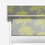 Designer