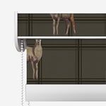 Designer