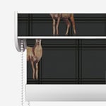 Designer