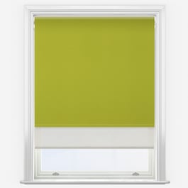 Aqualuxe Lime & Sunvue Cream Double Roller Blind