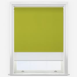 Aqualuxe Lime & Sunvue White Double Roller Blind