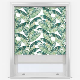 Palm Leaf & White Double Roller Blind