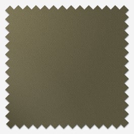 Coulisse Berlin Pine Roller Blind