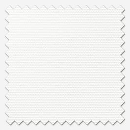 Coulisse Detroit Blackout White Roller Blind