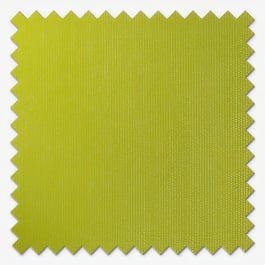 AquaLuxe Lime Roller Blind