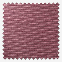 Pop Blackout Regal Roller Blind