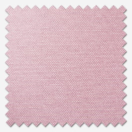 Pop Blackout Tutu Roller Blind