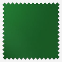 Sonova Studio Essenza Grass Green Roller Blind