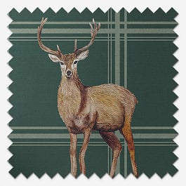 Sonova Studio Hawick Forest Green Roller Blind