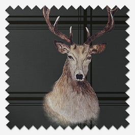 Sonova Studio Malcolm Charcoal Roller Blind