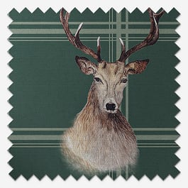 Sonova Studio Malcolm Forest Green Roller Blind