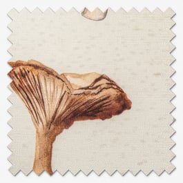 Sonova Studio Mushroom Forage Ecru Roller Blind