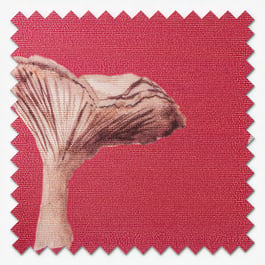 Sonova Studio Mushroom Forage Red Roller Blind