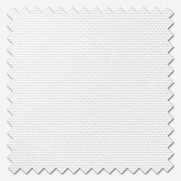 Supreme Blackout Parchment Roller Blind
