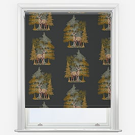 Sonova Studio Cairngorms Charcoal Roller Blind