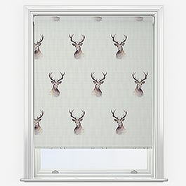 Sonova Studio Fergus Ecru Roller Blind
