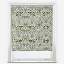 Sonova Studio Royal Reef Algae Green Roller Blind