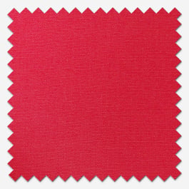 Accent Coral Curtain