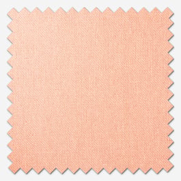 Canvas Cantaloupe Orange Curtain