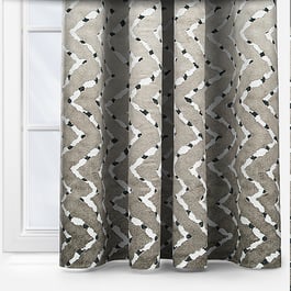 Zorro Desert Curtain